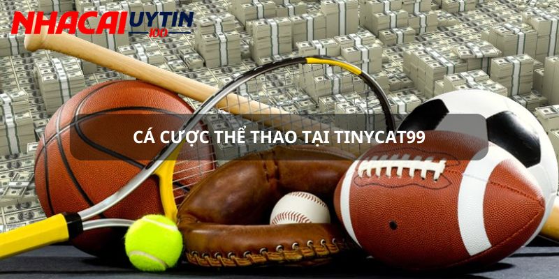 Cá cược thể thao cùng tỷ lệ thắng tuyệt đối tại Tinycat99